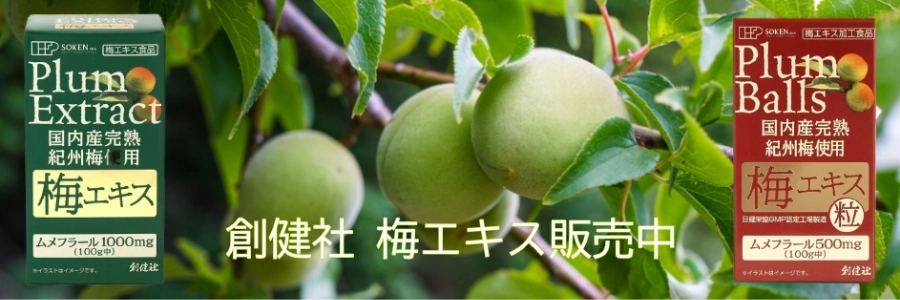 【楽天市場】梅エキス